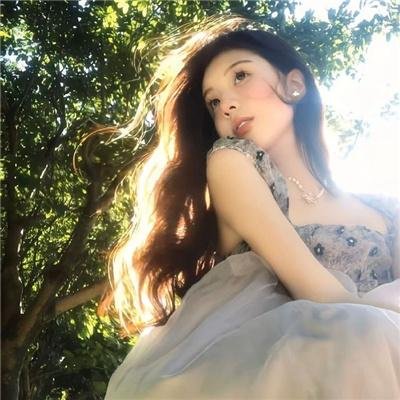 公园里的石头